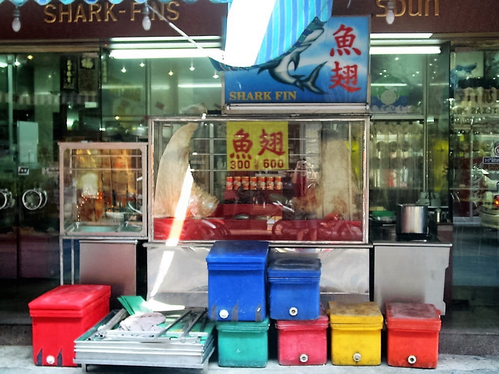 很多人來中國城就是為了吃魚翅 。