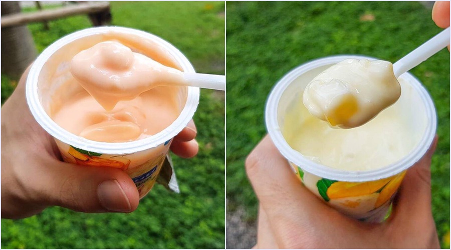 檸檬芒果（左）與芒果糯米（右）口味的優格，各有特色。