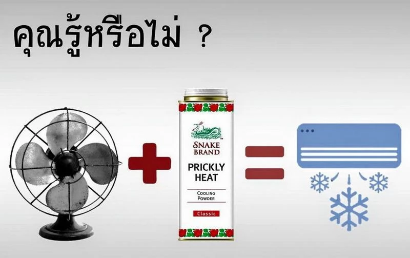 電風扇＋蛇牌＝冷氣