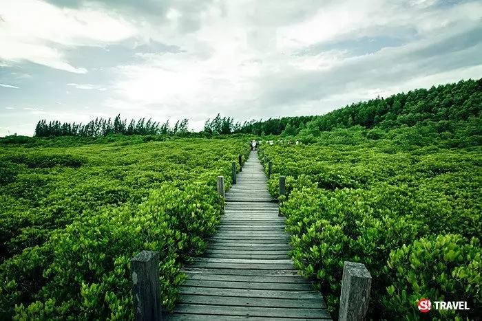 摘自泰國Snook網站。