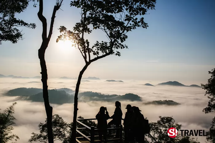 摘自泰國Snook網站。