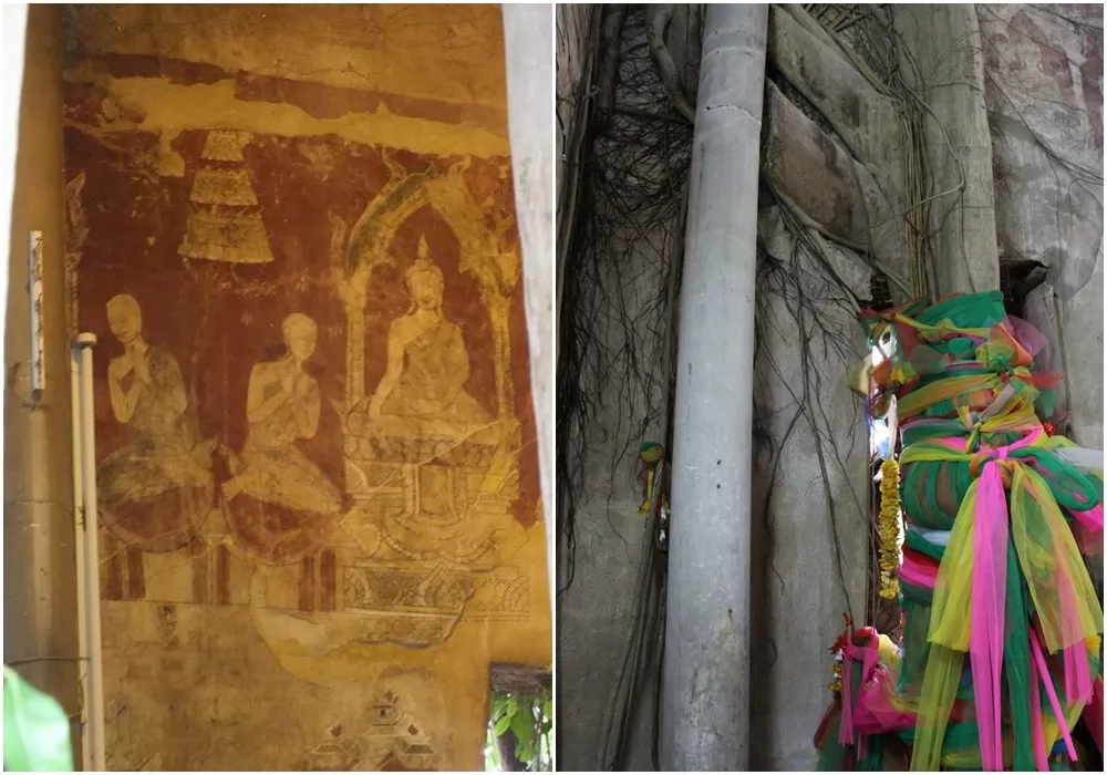 樹中廟裡的壁畫和樹枝。