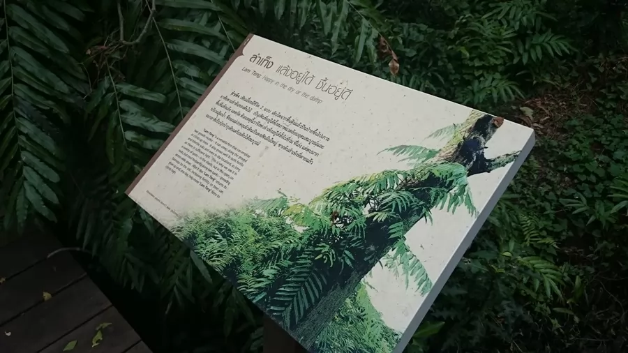 公園裡不同區域有不同的植物和鳥類，有車道串聯起來。