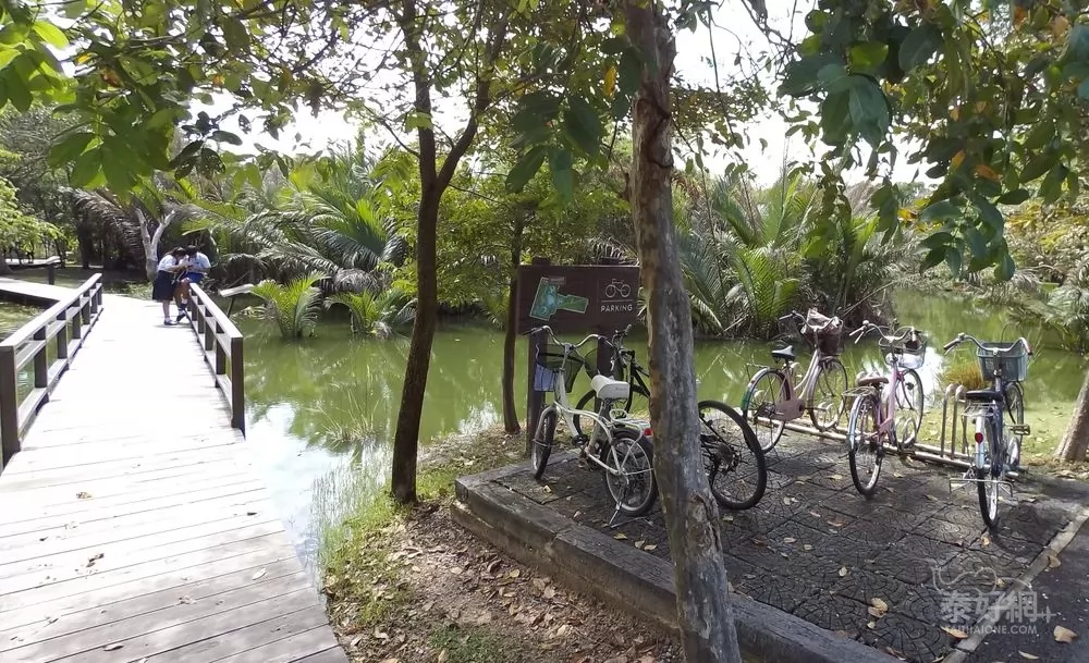 用悠閒的心情腳踩單車，邊騎邊看，想拍照就停下來。