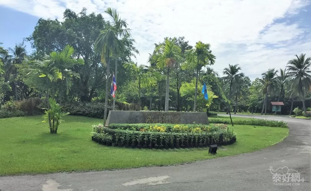 Sri Khan公園的圓環。