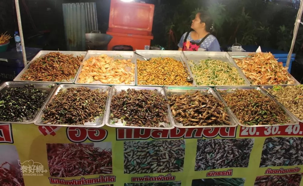 各式炸蟲蟲,敢吃嗎?