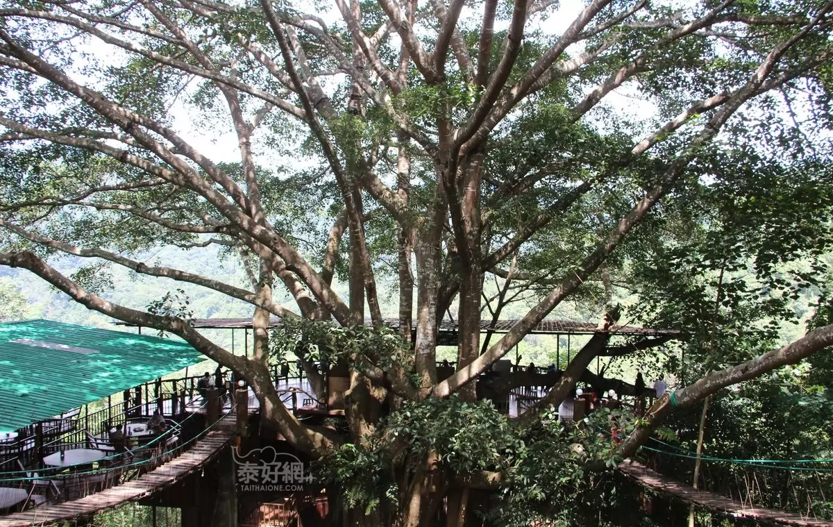 現在加蓋上頂棚。