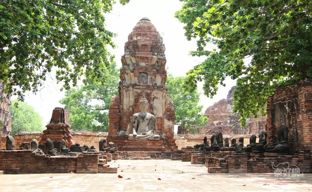 瑪哈泰寺與樹中佛像：見證泰國歷史與神聖佛教奇觀的世界遺產- 去