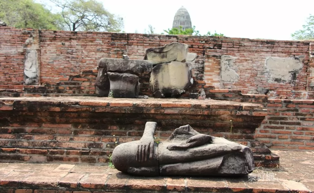 樹中佛首奇景的大城瑪哈泰寺- 泰國- 泰好網