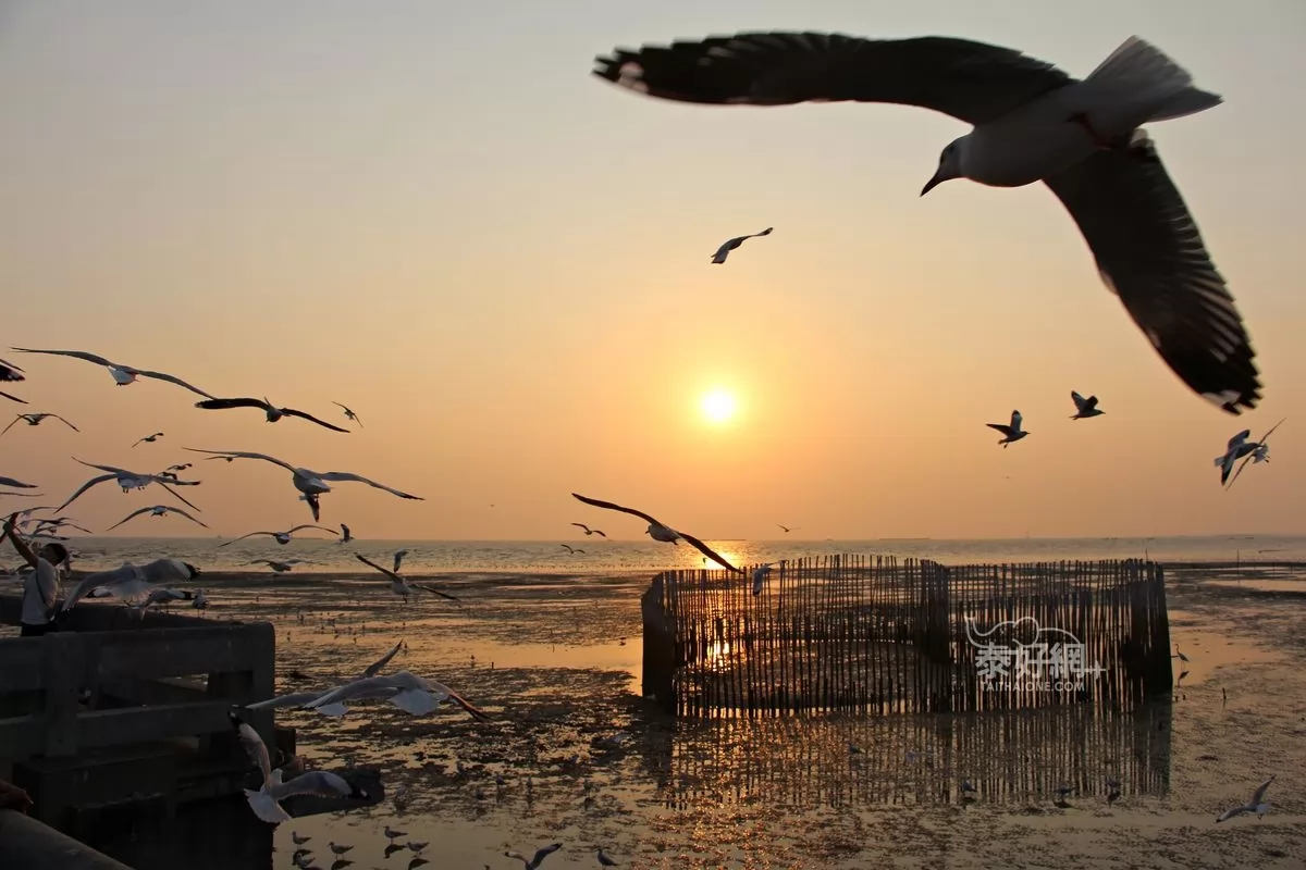 Bang Pu Seaside sunset