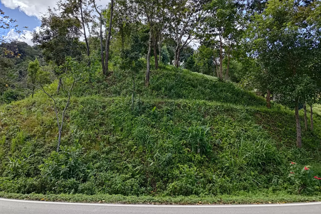 李朝陽表示,未來把這裡闢為露營區。