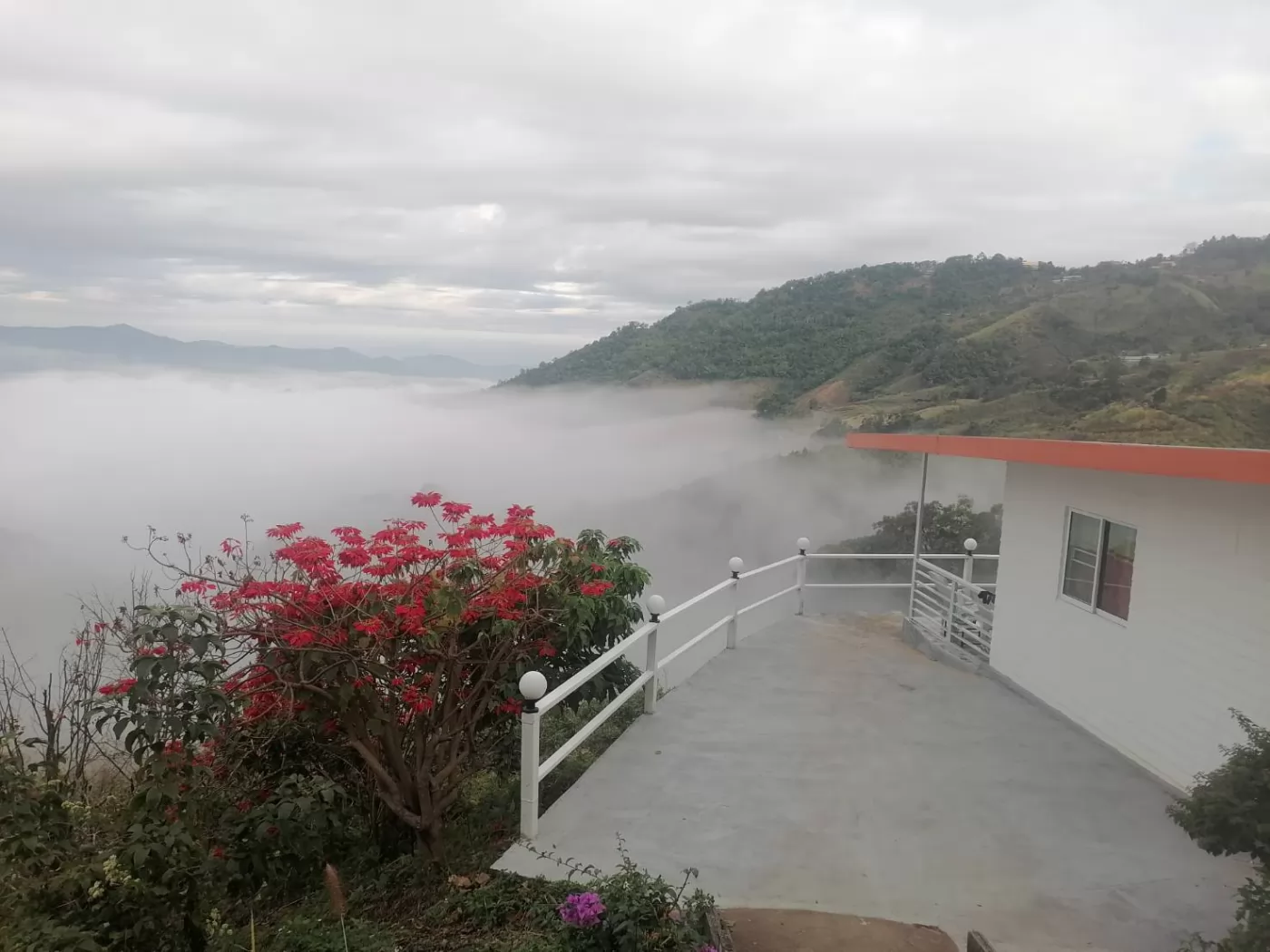 感謝李朝陽先生提供美景照片。